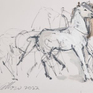HORSE SEQUENCE