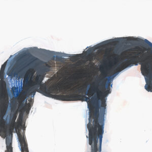 DREAM HORSE, IN SILHOUETTE