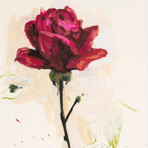 RED ROSE, ADELINE